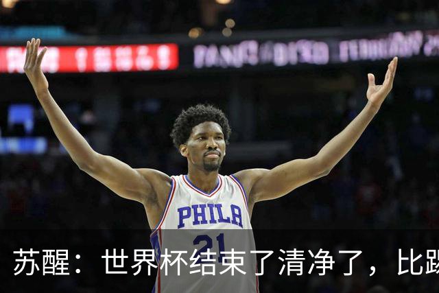 苏醒：世界杯结束了清净了，比踢到一半就淘汰的那种清净好