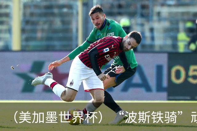 （美加墨世界杯）“波斯铁骑”顽强两连平 伊朗队期待更进一步